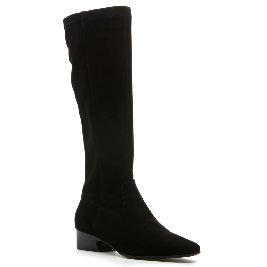 Dalia Weatherproof Suede Tall Boot